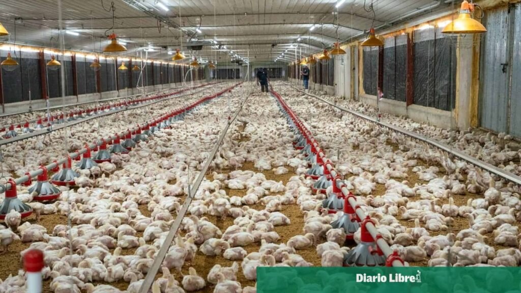 ADA respalda la ley que deja permanente la exoneración del anticipo del ISR al agro