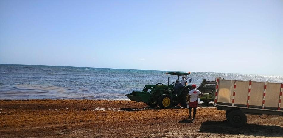 Sargazo golpea el disfrute turístico en el Este pese a jornadas diarias de limpieza