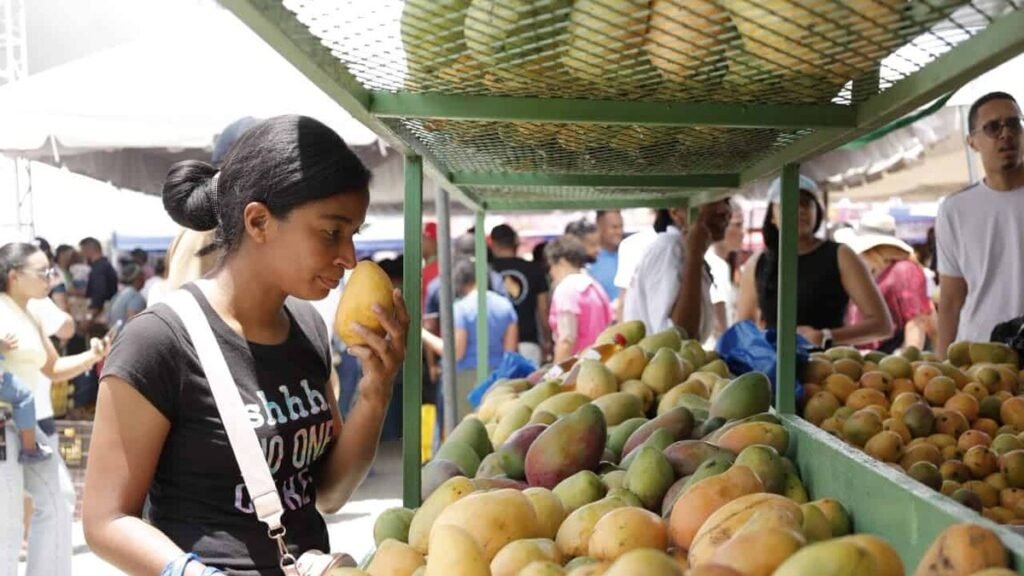 Baní es declarada ‘Capital del Mango’ por ley y se reactiva la discusión sobre el Congreso