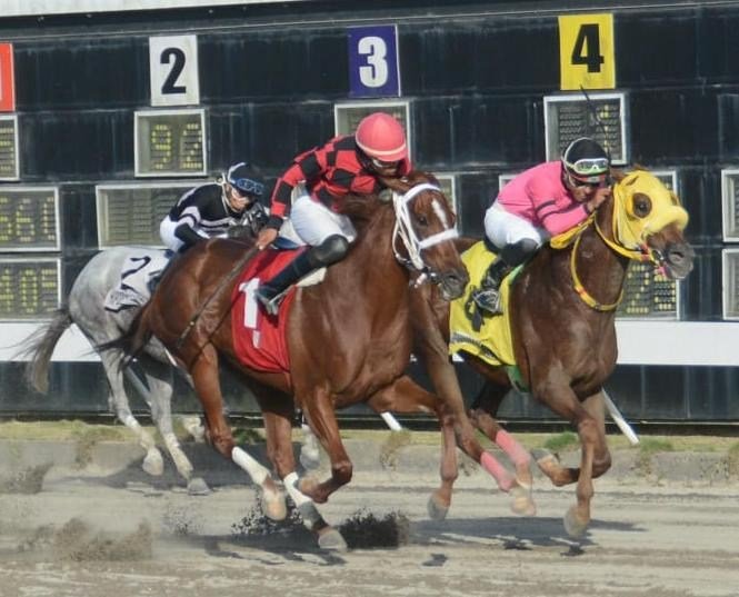 Falsa salida altera la jornada en el Quinto Centenario y deja pool de RD$52,456.00