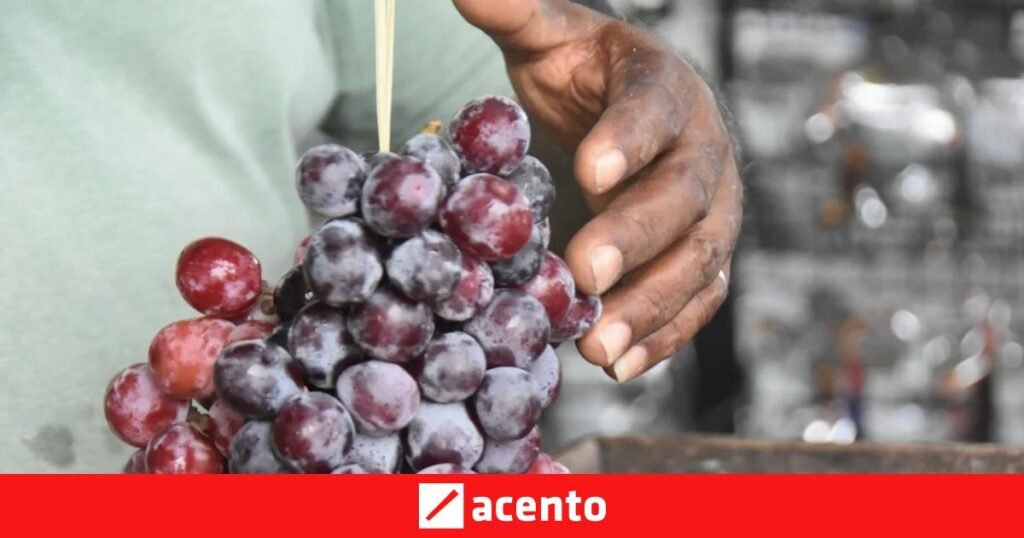 Uvas, vino y dulces al borde de la vía sostienen la economía informal en Vicente Noble