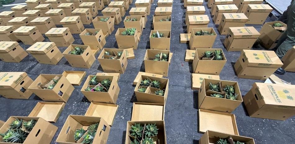Incautación en AILA vuelve a exponer presión del narcotráfico sobre controles de carga