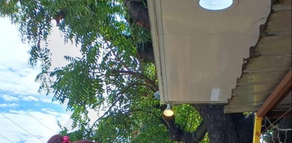 Baní inaugura hoy la Feria del Mango en nueva ubicación por obras en el parque municipal