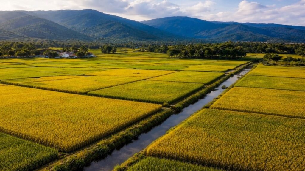 Zonificar cultivos vuelve a ganar espacio y cuestiona el uso de tierras y agua en zonas agrícolas clave