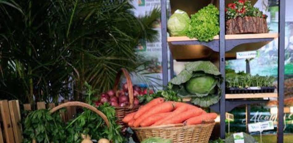 Constanza enfrenta importaciones, costos altos y pérdidas que ahogan a sus productores