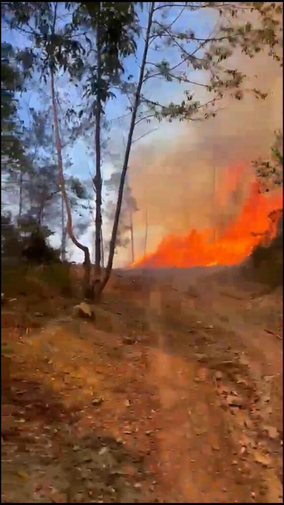 Sigue activo el incendio en El Naranjo y las autoridades aún no cuantifican el daño