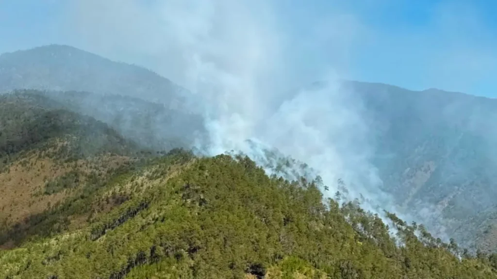 Controlan incendio en Valle del Tetero tras activar emergencia y movilizar 25 bomberos forestales
