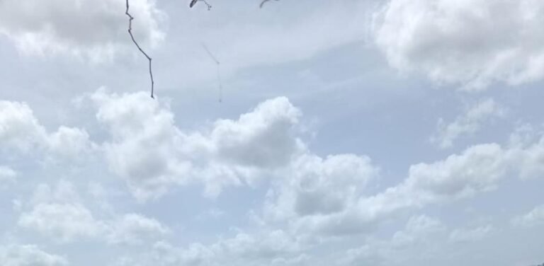 La sequía golpea al oeste de Puerto Plata y deja al campo en alarma