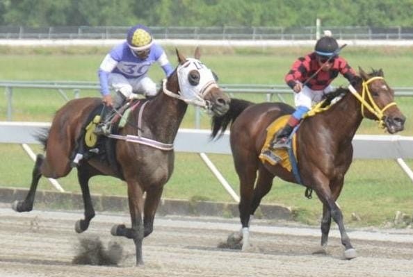 Novas se impone dos veces en el Quinto Centenario y una salida irregular obliga a anular la quinta carrera