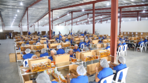 Productividad rezagada expone el costo real del bajo esfuerzo en República Dominicana